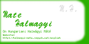 mate halmagyi business card
